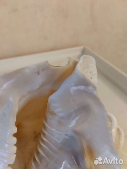 Ночники и светильники