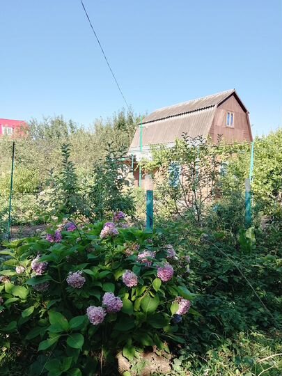 Дача 34,3 м² на участке 4,85 га