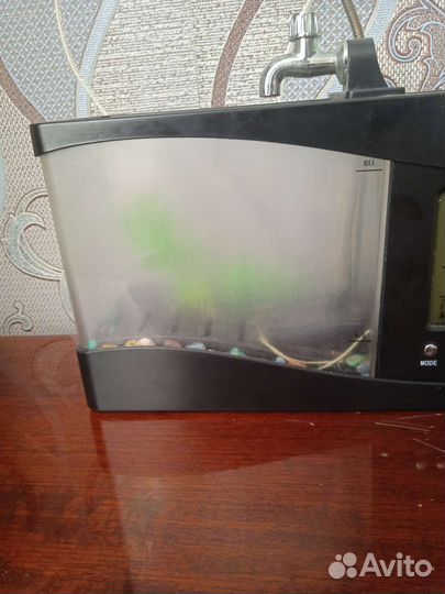 Нано аквариум