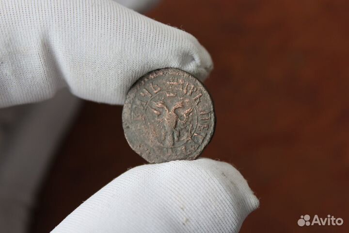 Полушка 1705 год Петр 1 R в Твери