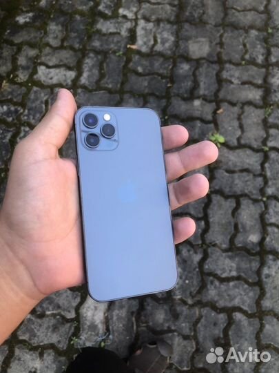 iPhone 12 pro 256