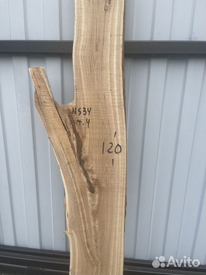 Слэб карагач