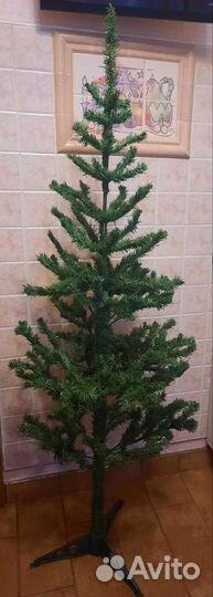 Готовь сани с лета Две новогодних ёлки