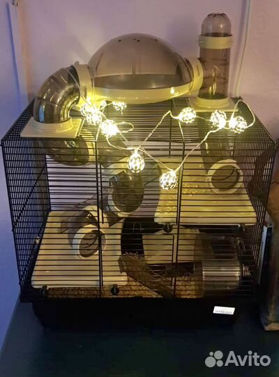 Клетка для грызунов бу