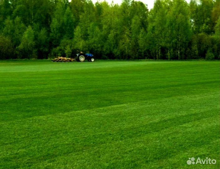 Рулонный газон 