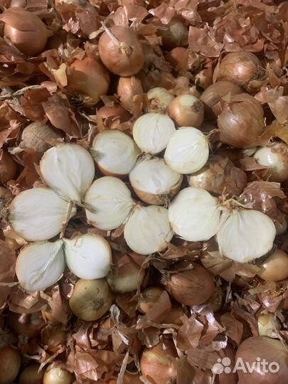 Свекла,Морковь,Лук,Картофель 2 сорт