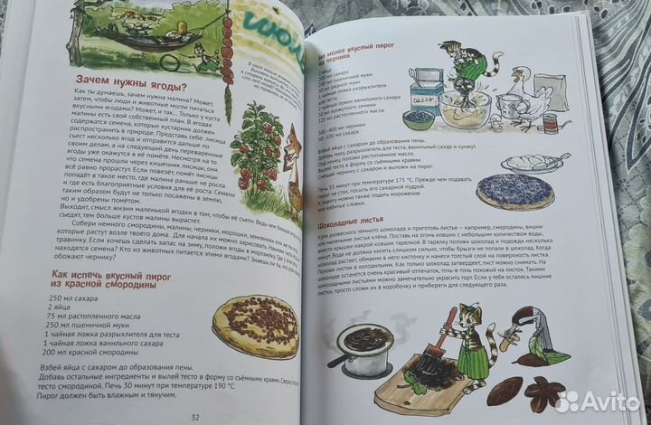 Книга Поделки Финдуса