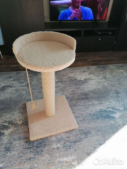 Когтеточка