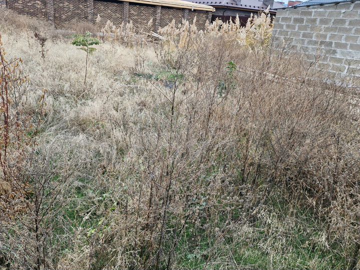 Участок 5,5 сот. (ИЖС)