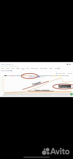 Обучение-консультация вб (бесплатно)