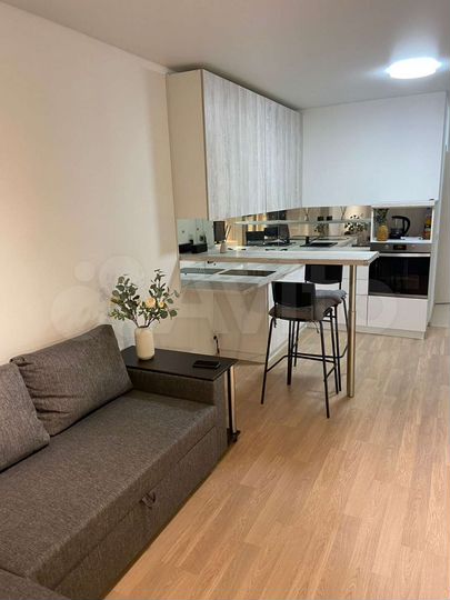 Квартира-студия, 30 м², 14/17 эт.