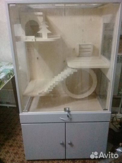 Витрины для шиншилл