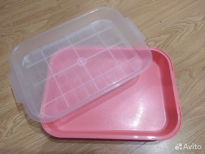 Лоток для кошек бесплатно