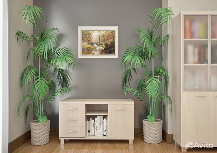 Кабинет руководителя. Оплата по факту