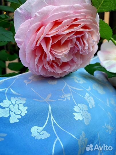 Подушка пух перо новая