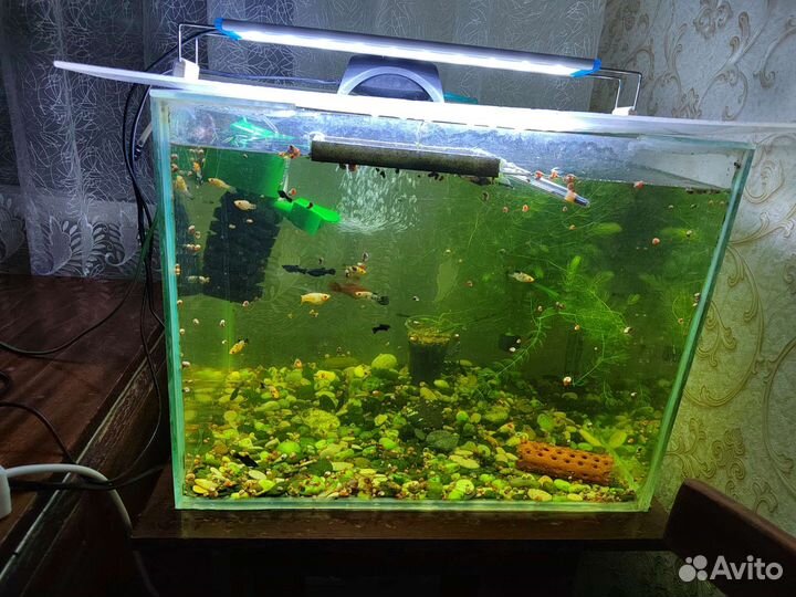 Украшение для аквариума