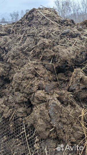 Навоз коровий