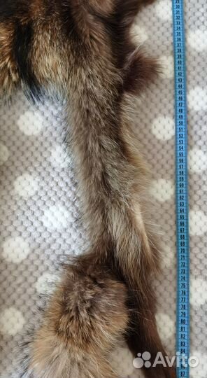 Мех енота шкура