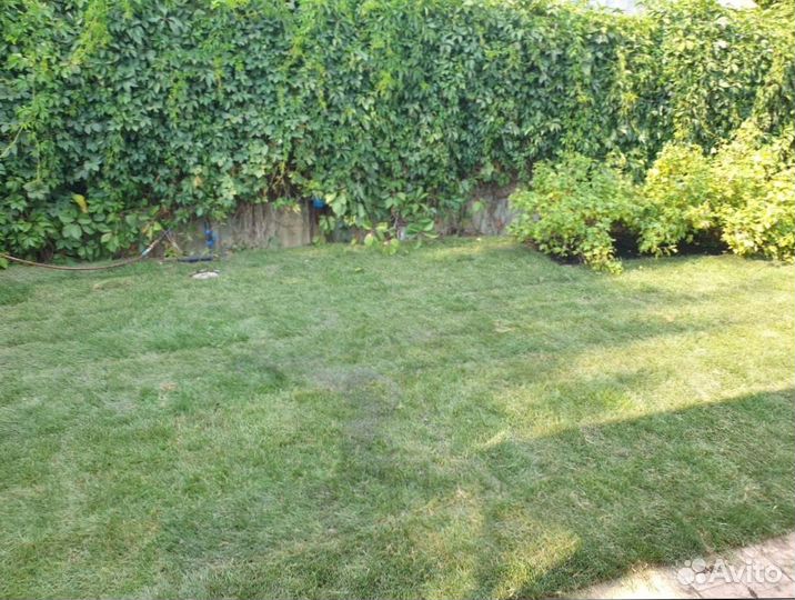 Рулонный газон + Ландшафтное проектирование