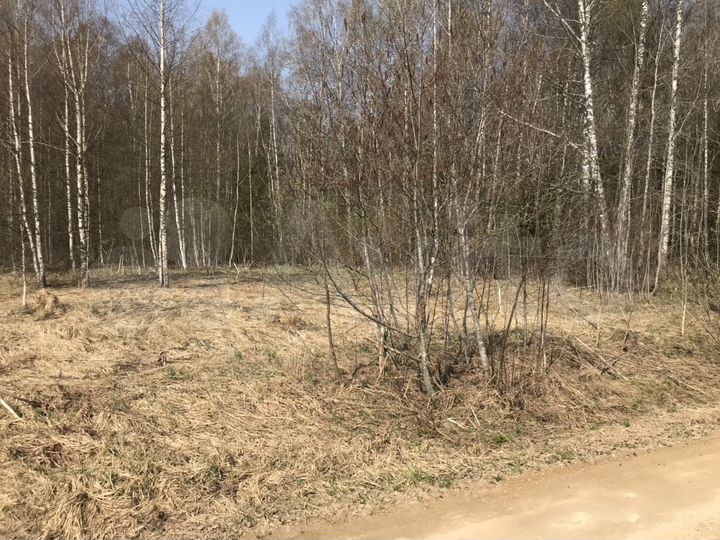 Участок 30 сот. (СНТ, ДНП)