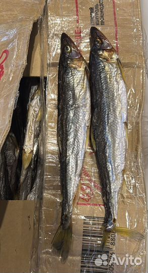 Копченая и вяленая рыба