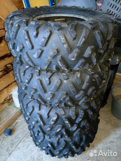 Maxxis bighorn 2.0