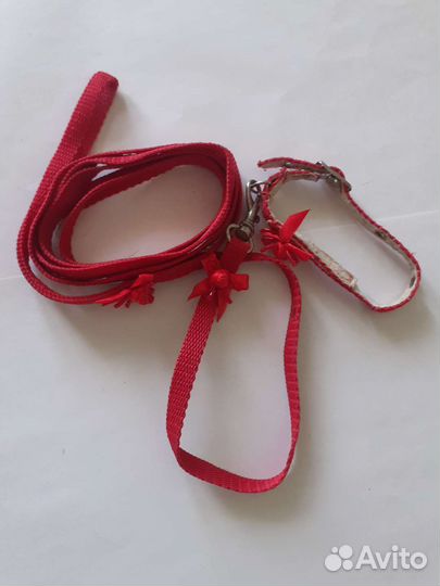 Поводки и шлейка