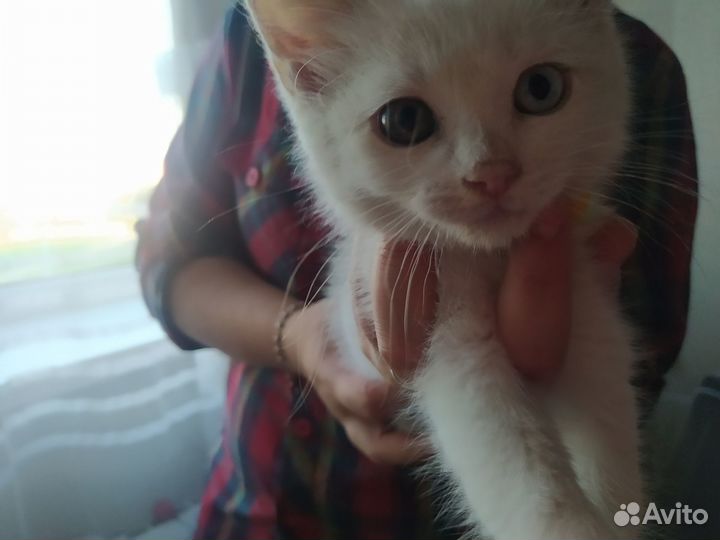 В самые добрые ручки