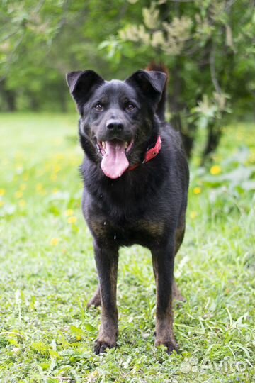 Тот самый парень который не оборачивается на взрыв