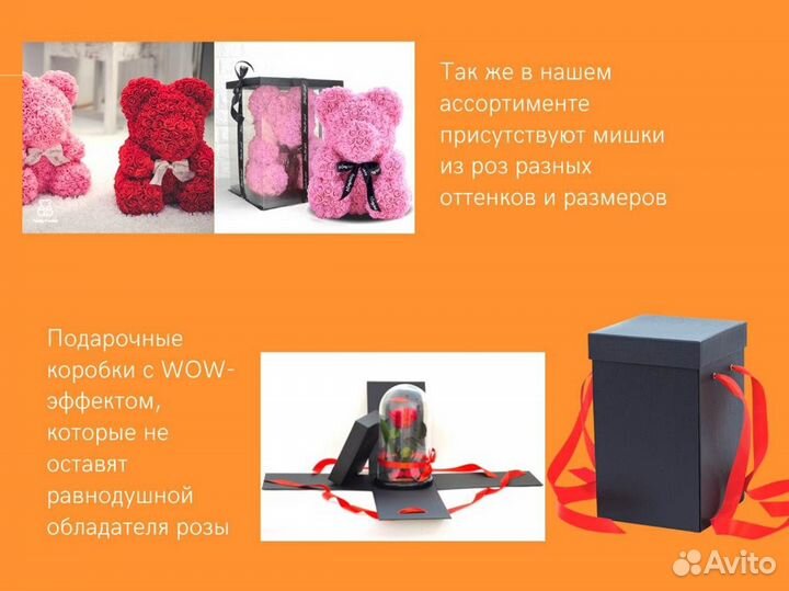 Роза в колбе. Живая