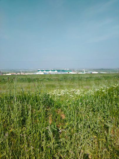 Участок 8 сот. (ИЖС)