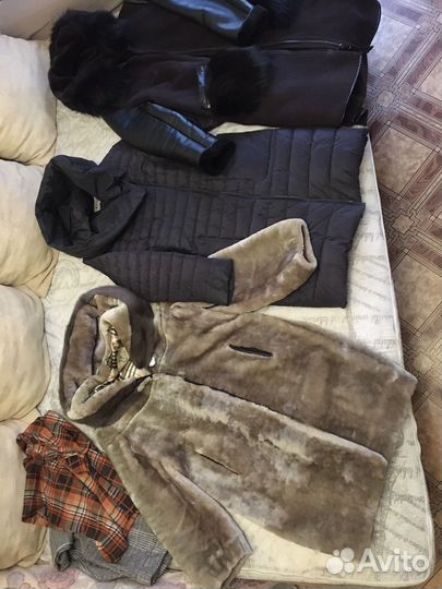 Отдам бесплатно женские вещи 48