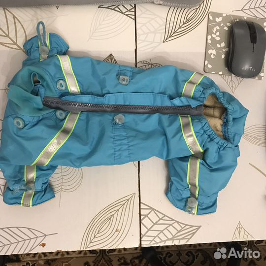 Костюм на собаку