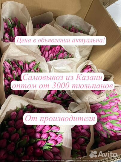 Тюльпаны оптом