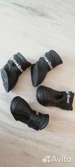 Одежда для маленьких собак