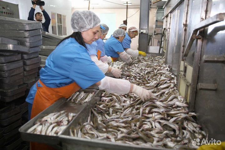 Упаковщики на рыбный цех