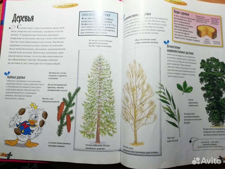 Энциклопедия/энциклопедии/энциклопедии для детей