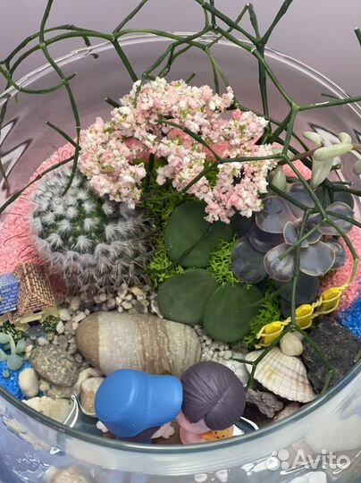 Флорариум - подарок
