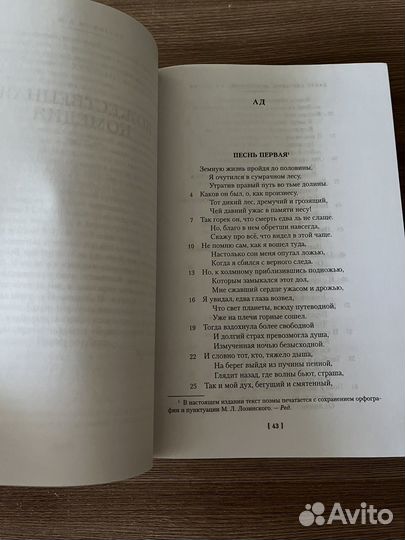 Божественная комедия. Новая жизнь