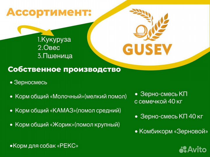 Ячмень/Корм для животных с/х