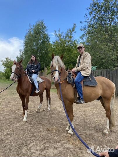 Прогулки на лошадях и поход в конный клуб