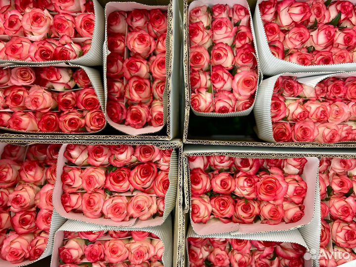 Живые цветы букеты