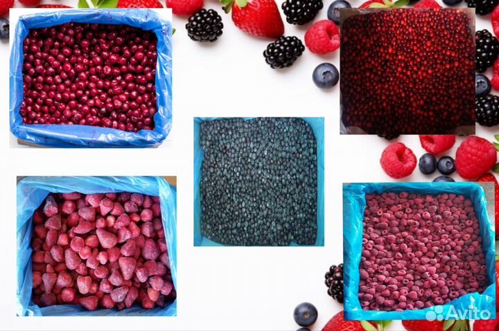 Замороженные ягоды оптом