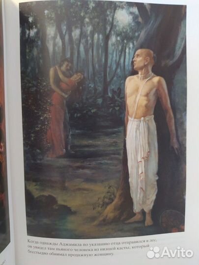 Книга Шримад Бхагаватам: шестая песнь, том первый