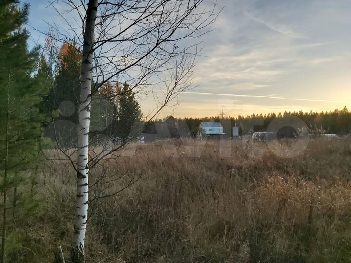 Участок 10 сот. (СНТ, ДНП)