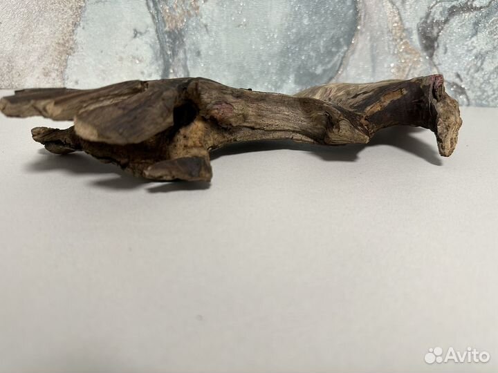 Коряги для террариума