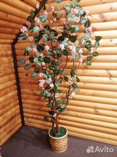 Дерево декоративное