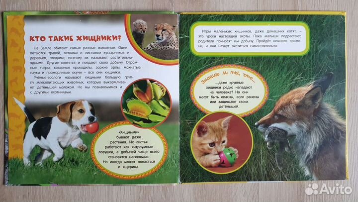 Детская энциклопедия для дошкольников