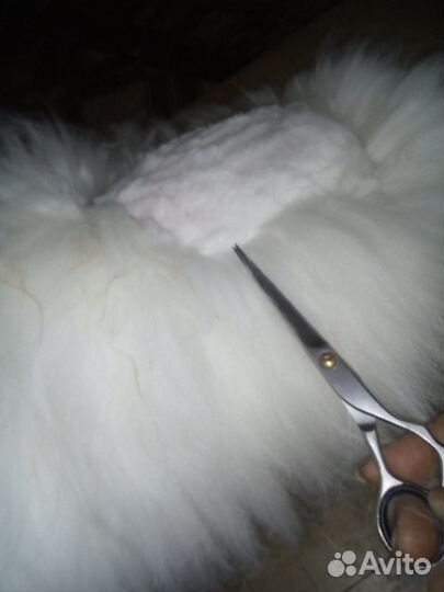 Пух кролика