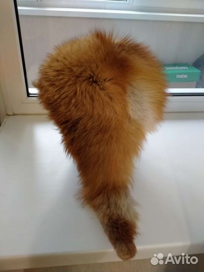Шапка из меха лисы